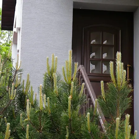 Route 7 אכסניה מישלניצה