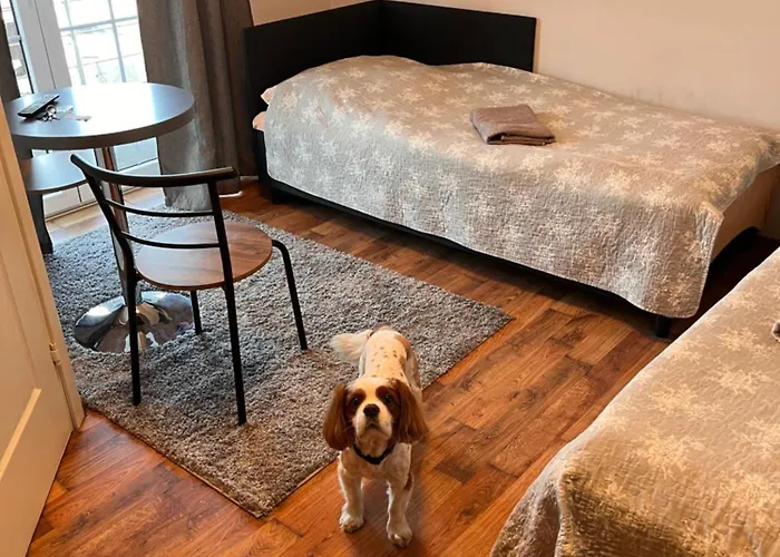 Route 7 * מישלניצה